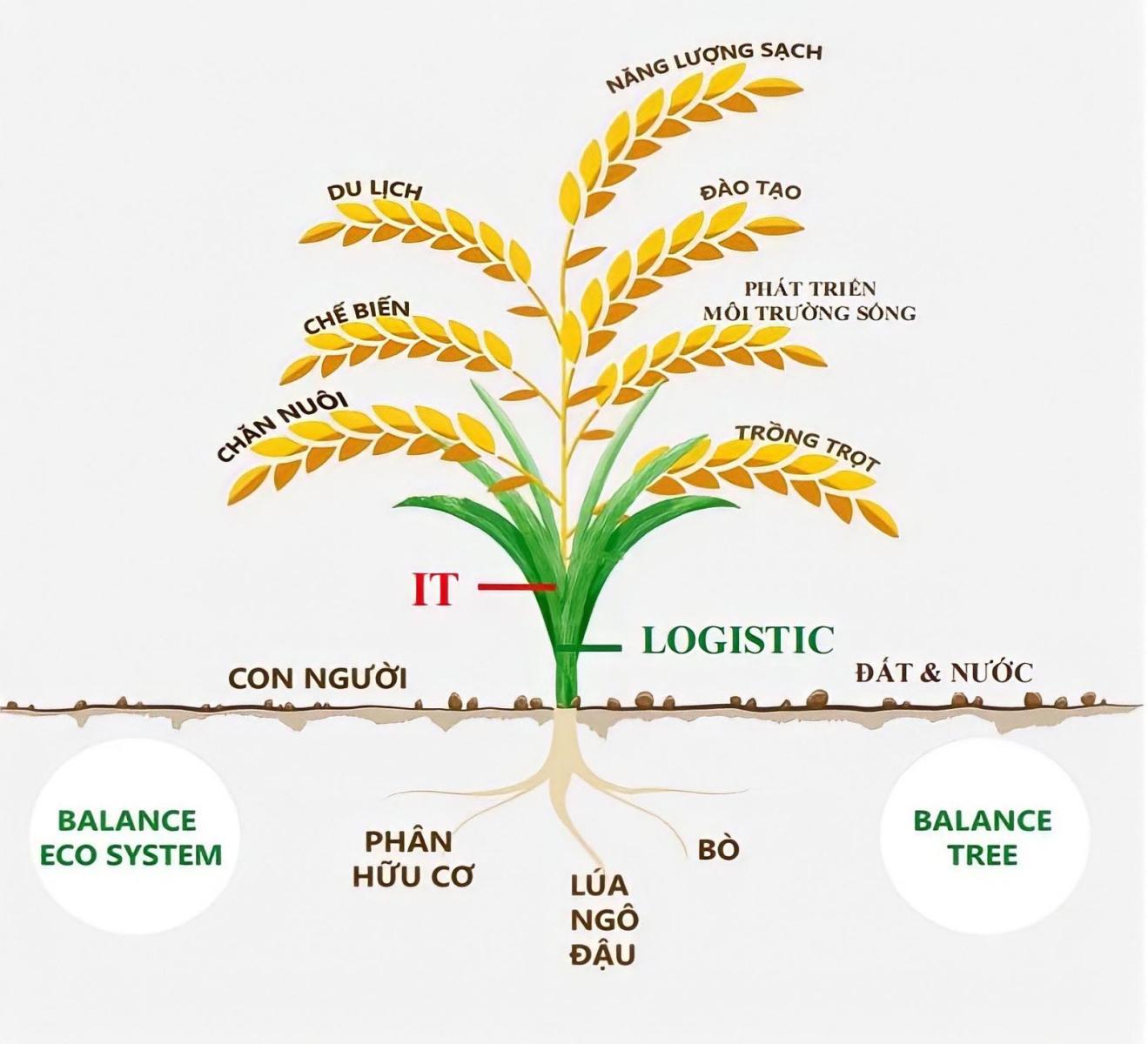 Balance Tree Brand Balance Life Ecosystemp